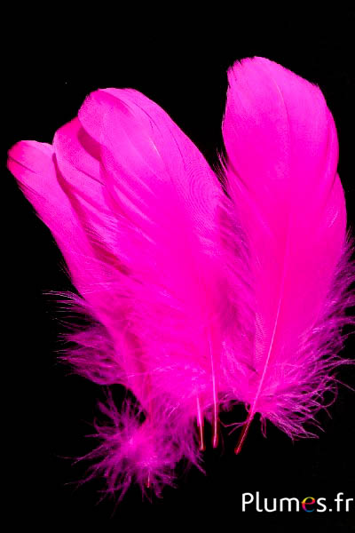 Gans - 11-15 cm - fuchsia